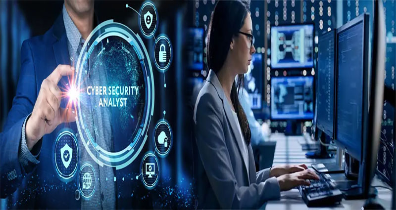 What Does a Cyber Security Analyst Do?
